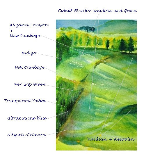 Green Mountains Meadows, Step 6